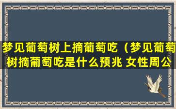 梦见葡萄树上摘葡萄吃（梦见葡萄树摘葡萄吃是什么预兆 女性周公解梦）